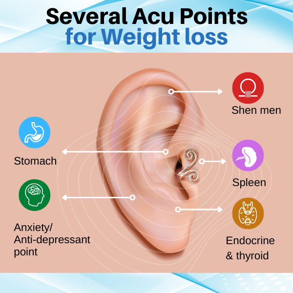 (🔥LAST DAY SALE-80% OFF)Histone Acupressure Slimming Earrings